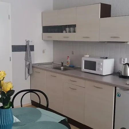 U Zlate Koruny Apartment